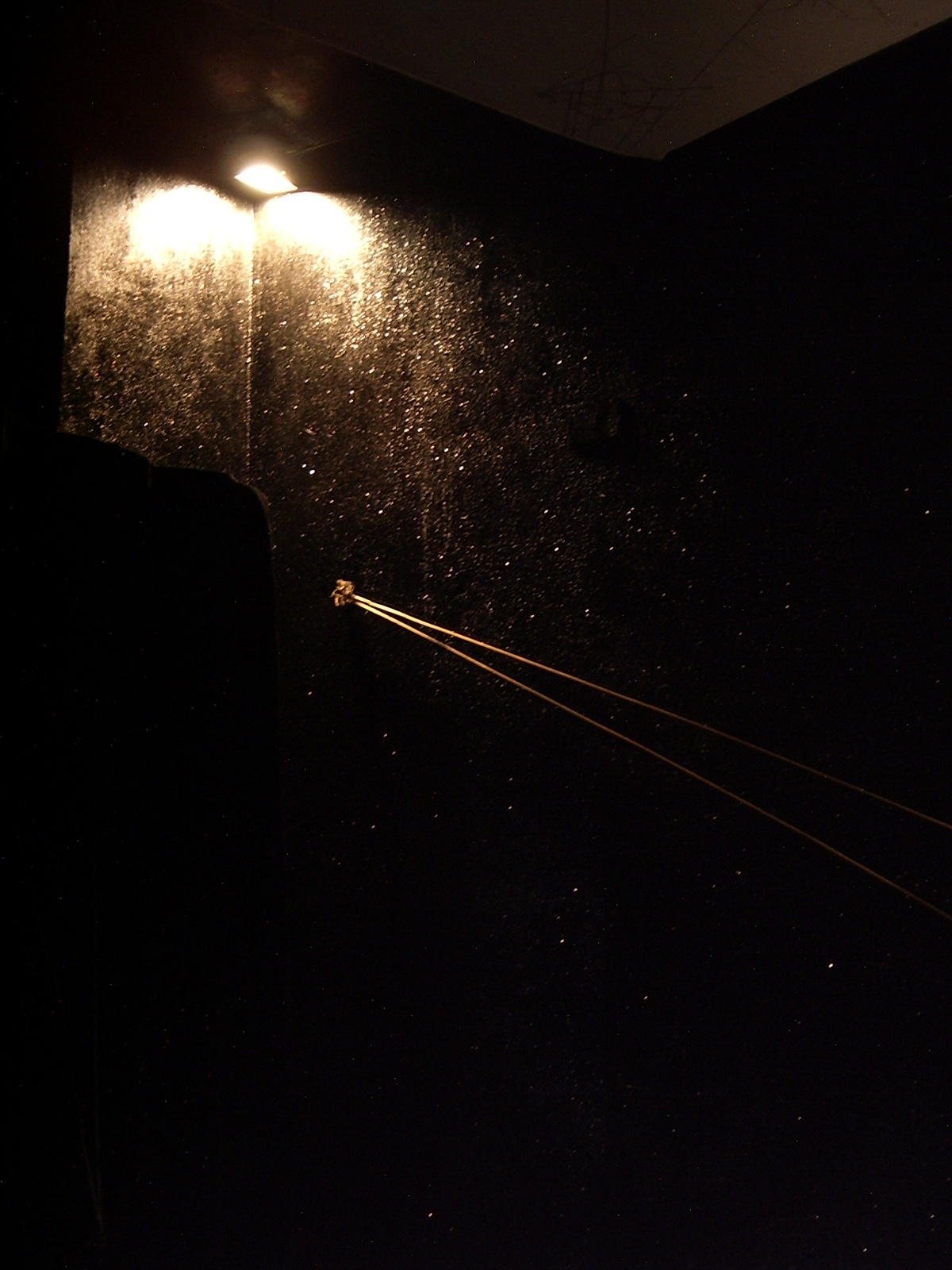 GCA© All rights reserved